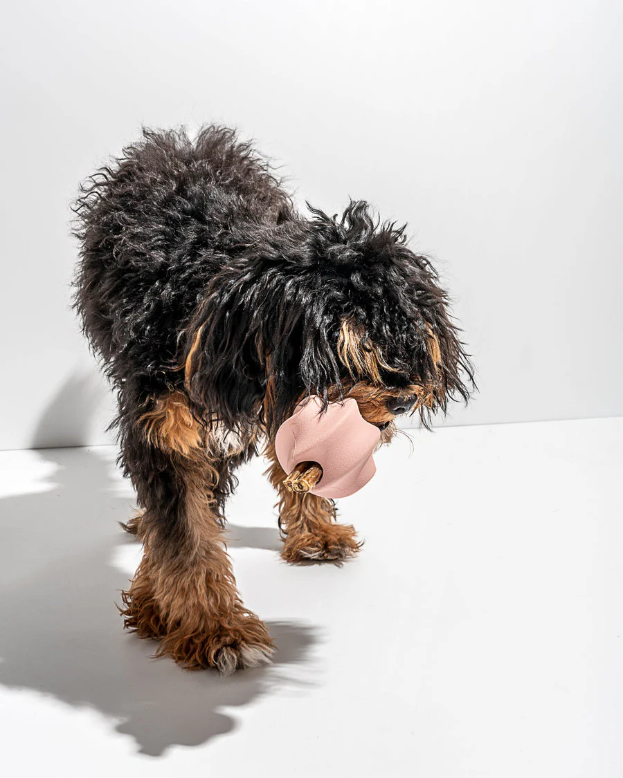 Wild One Twist Toss Ball - Image 6