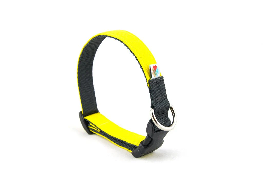 Wildebeest Funston Collar - Image 13
