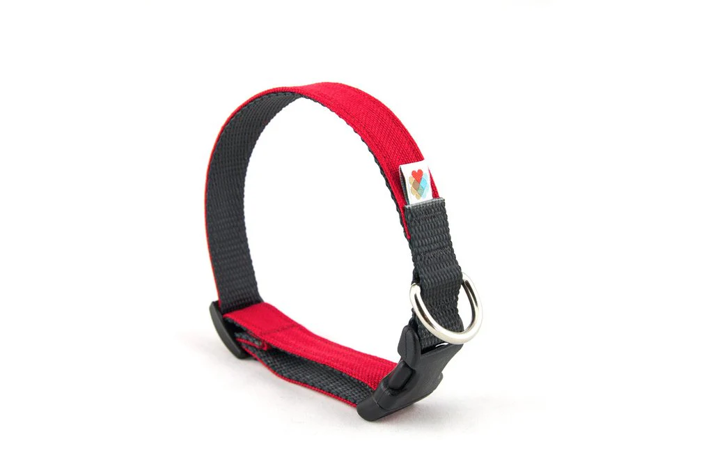 Wildebeest Funston Collar - Image 28
