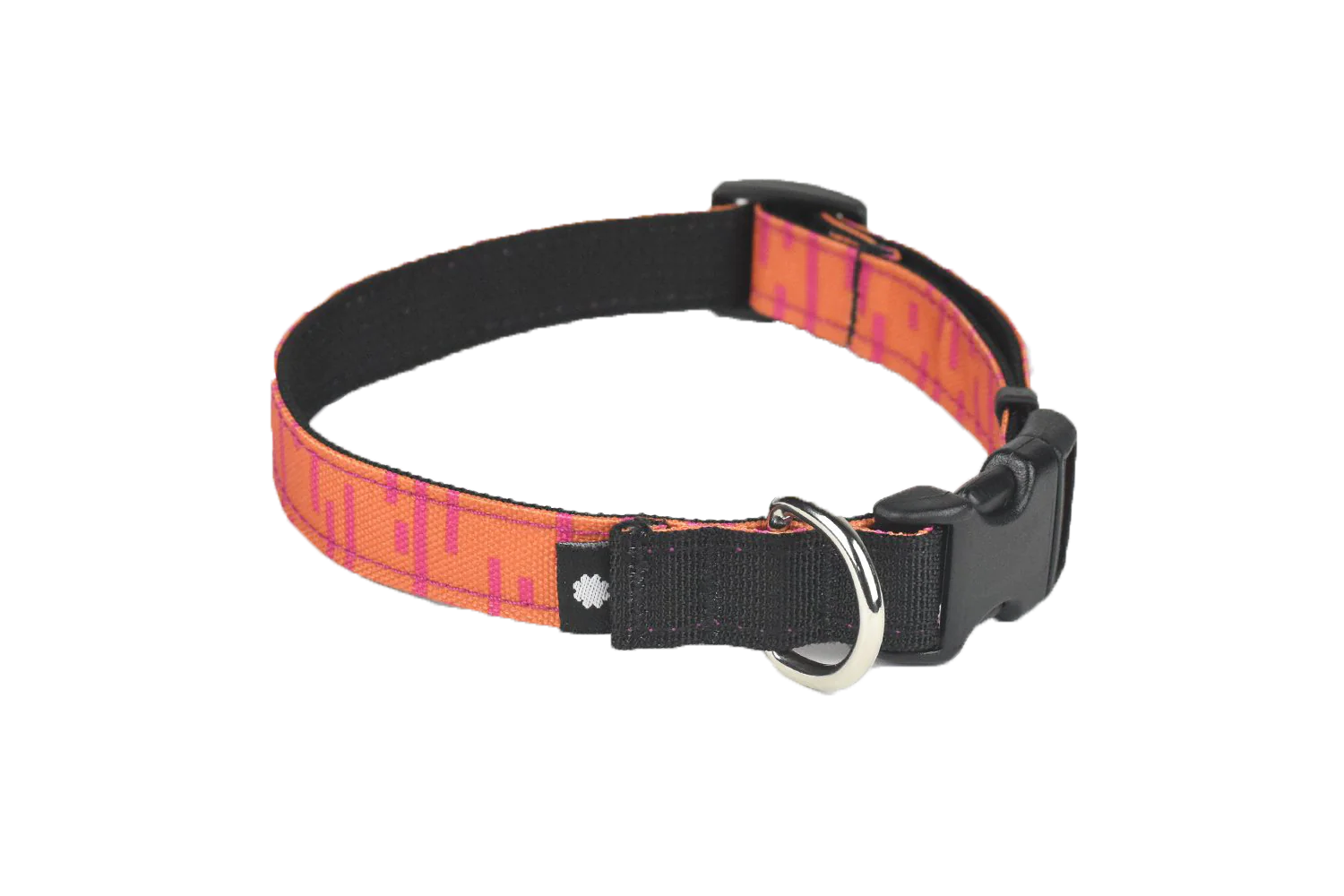 Wildebeest Pacifica Standard Collar - Image 5