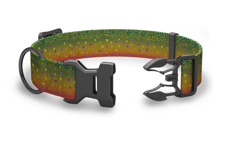 Wingo Outdoors Brook Trout Collar - Image 2