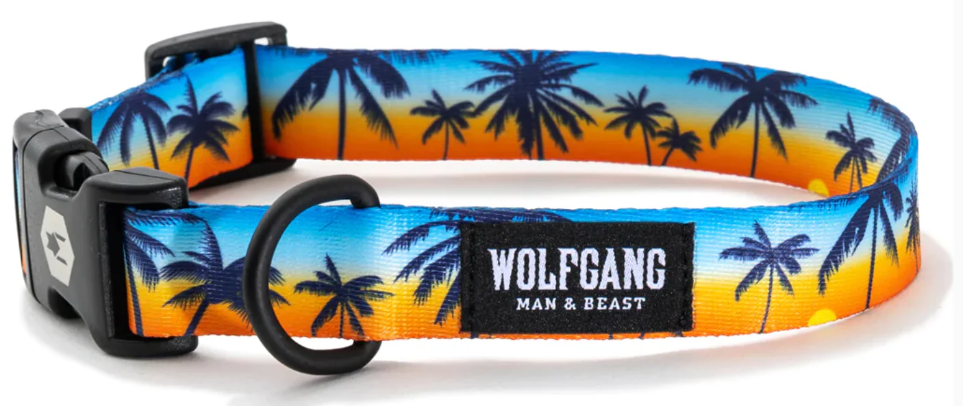 Wolfgang Dog Collar - Image 29