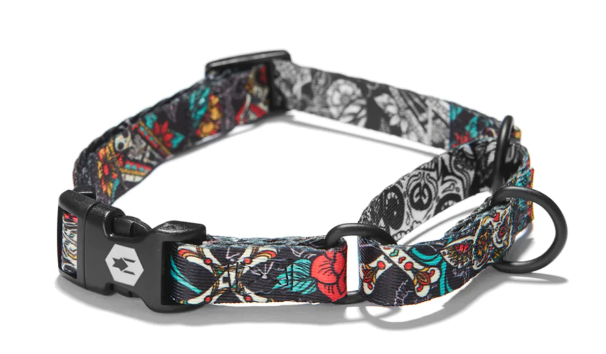 Wolfgang Dog Collar - Image 43