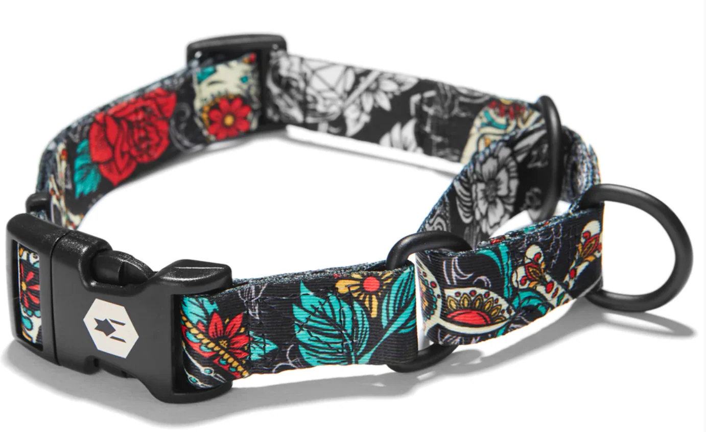 Wolfgang Dog Collar - Image 44