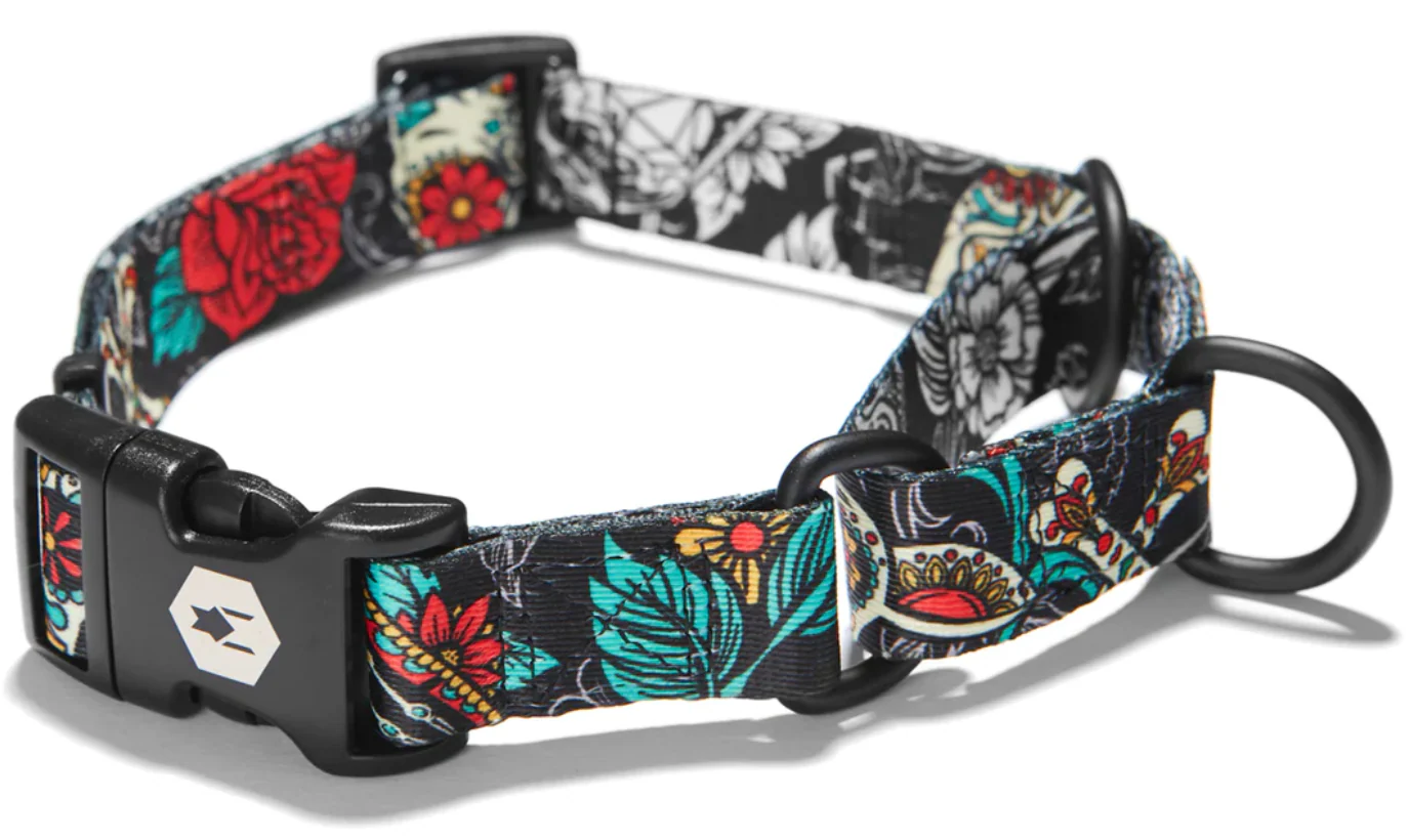 Wolfgang Dog Collar - Image 45