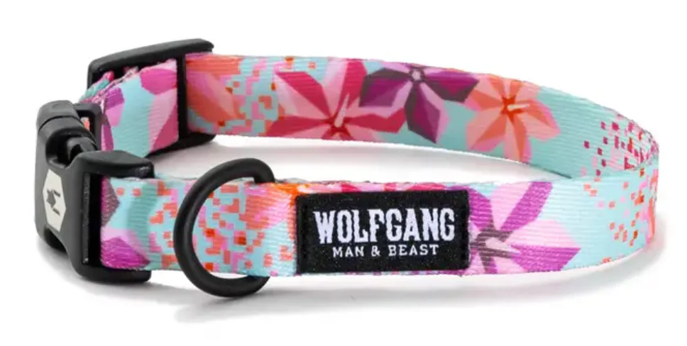 Wolfgang Dog Collar - Image 52