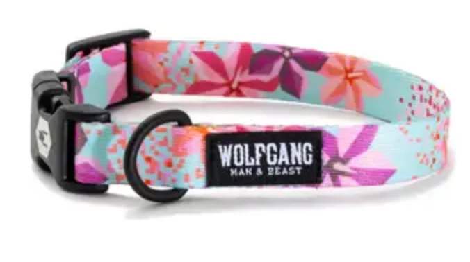 Wolfgang Dog Collar - Image 53
