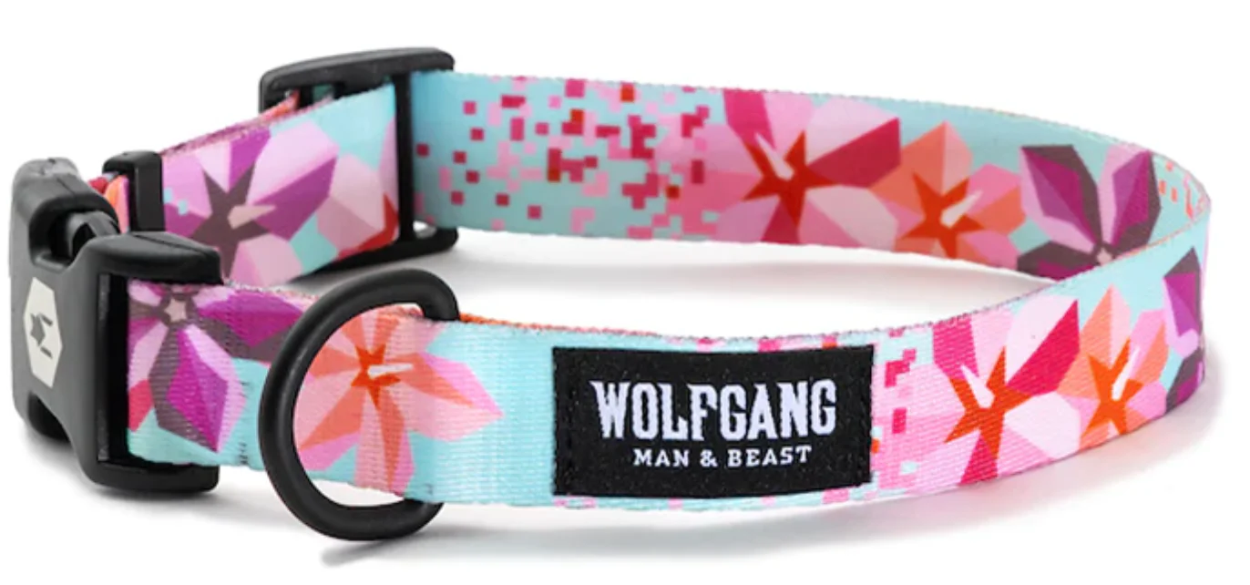 Wolfgang Dog Collar - Image 54
