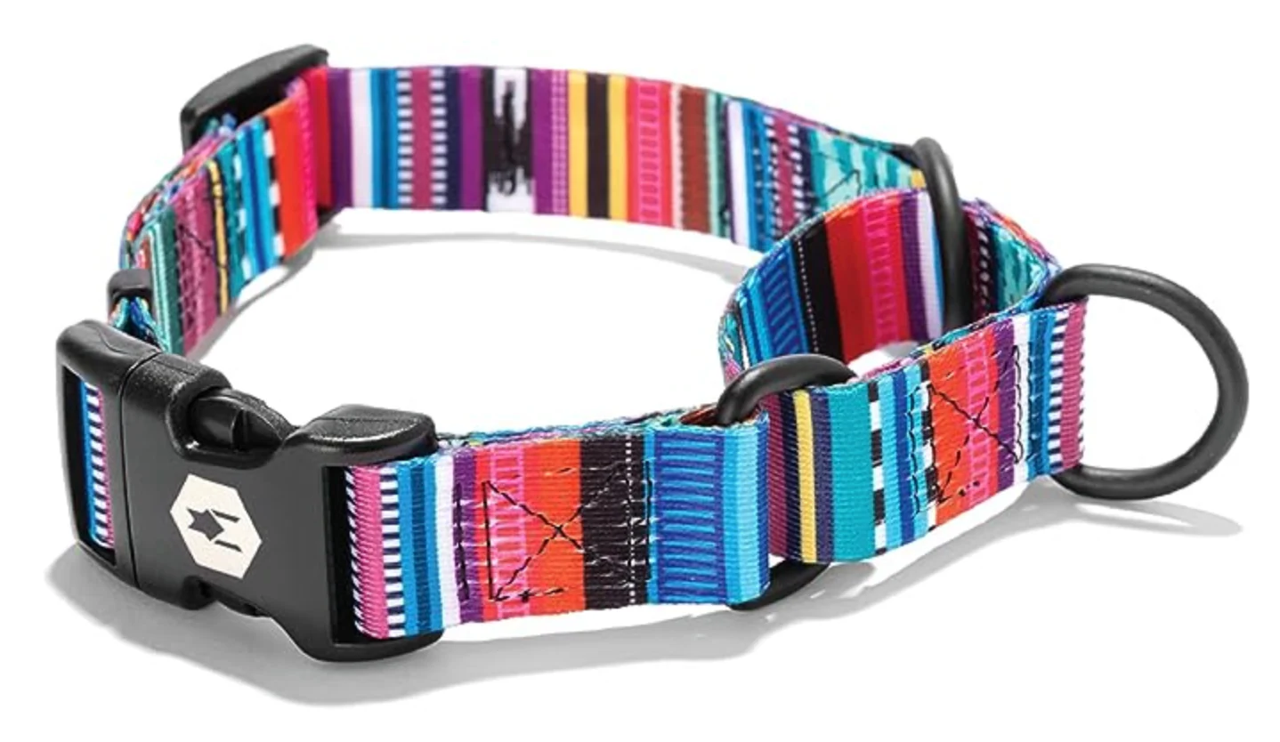 Wolfgang Dog Collar - Image 57