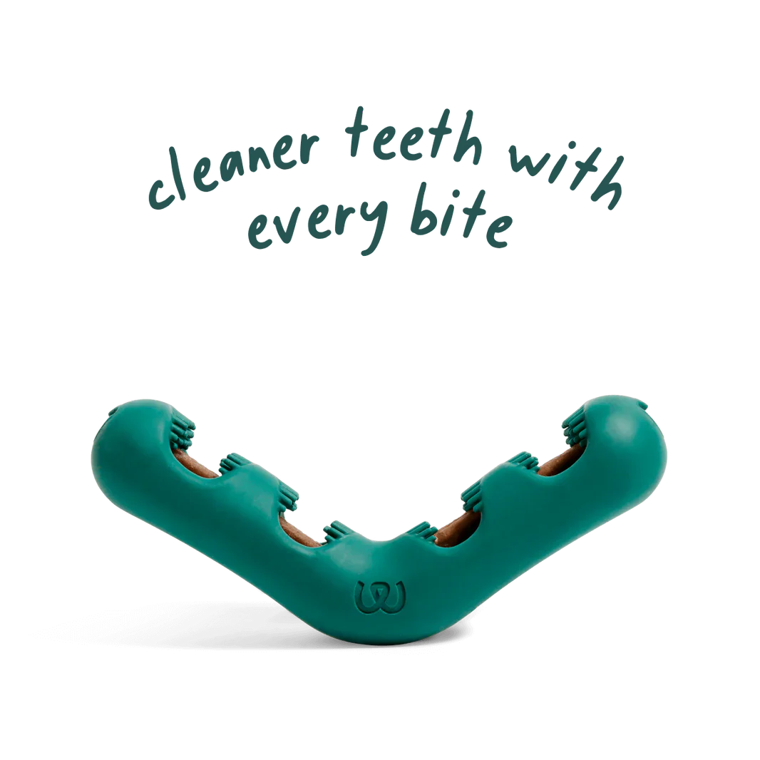Woof Pet Bite n' Brush Chew Toy