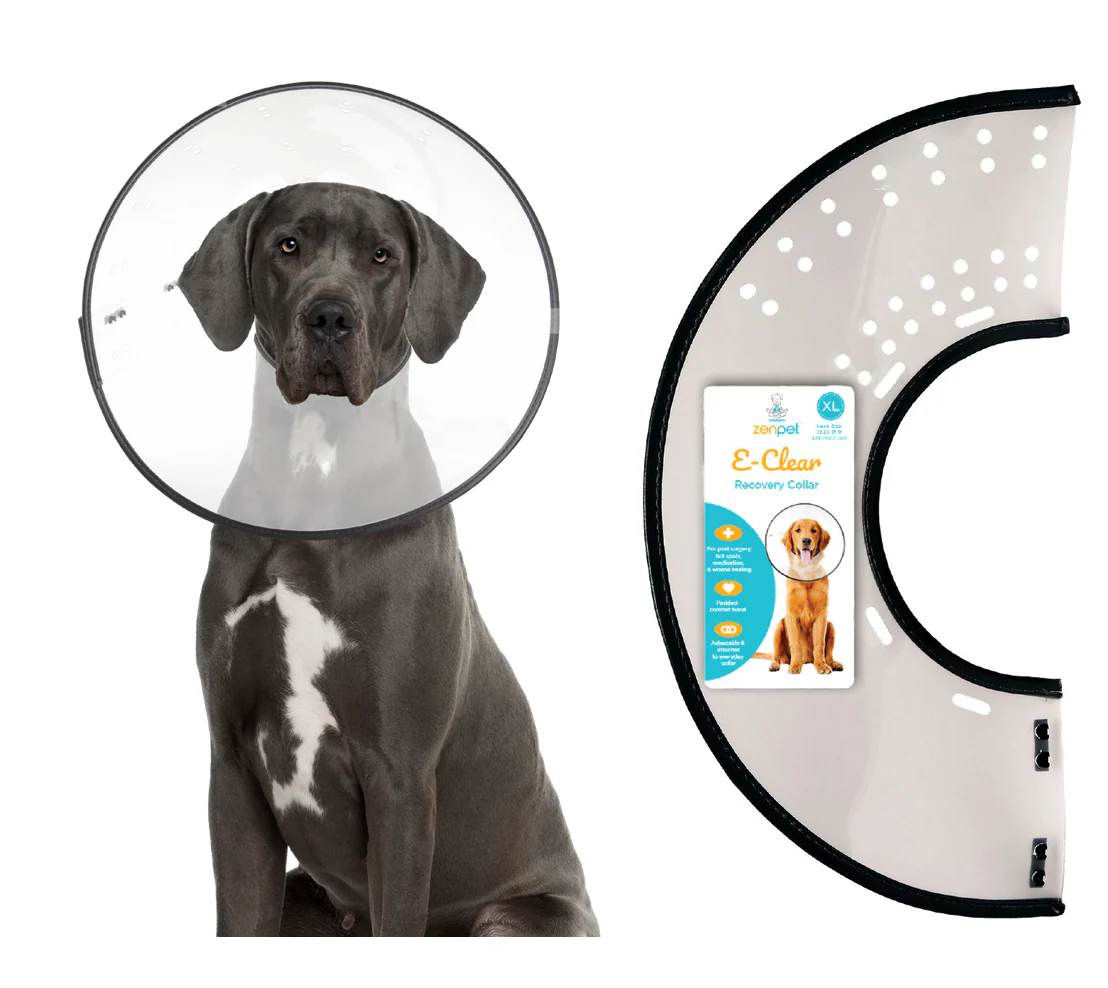 ZenPet E-Clear Plastic Recovery Collar - Image 2